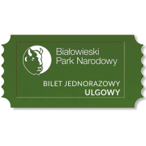 Bilet ulgowy